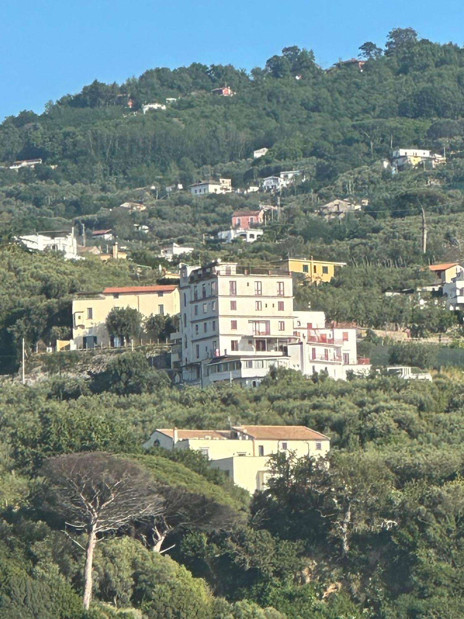 Dania Hotel 3*