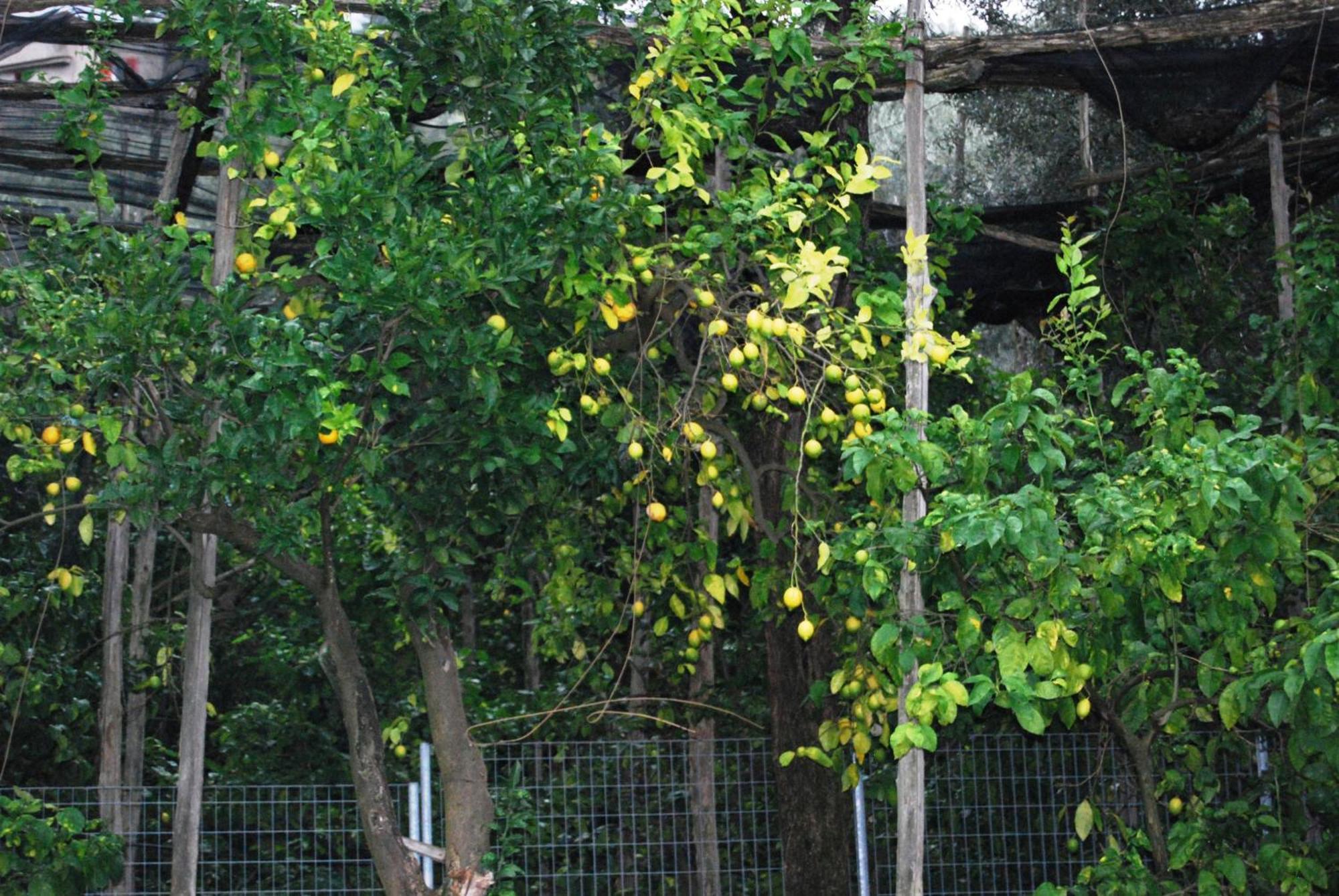 Studios Guest house *