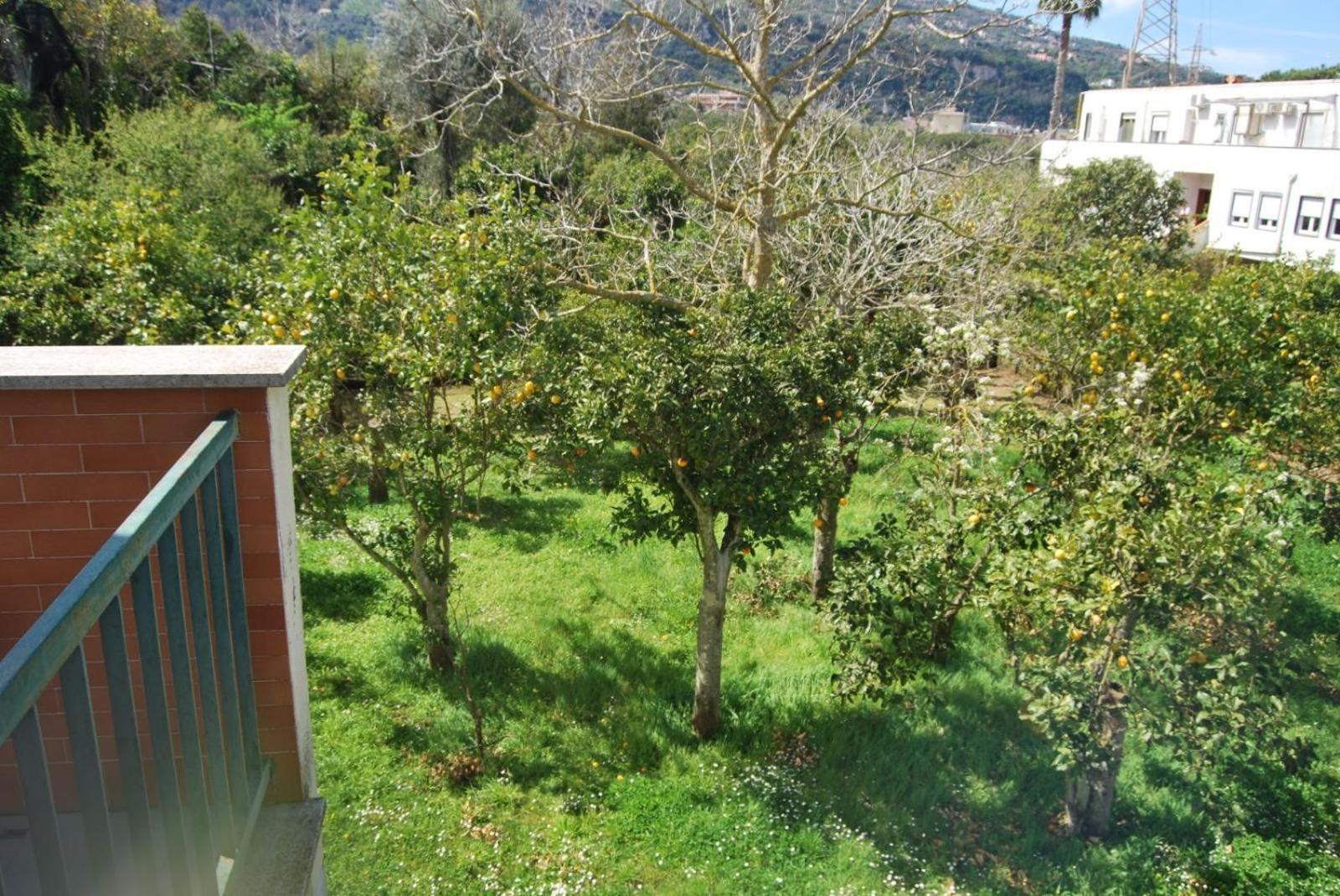 Antelia's * Sorrento