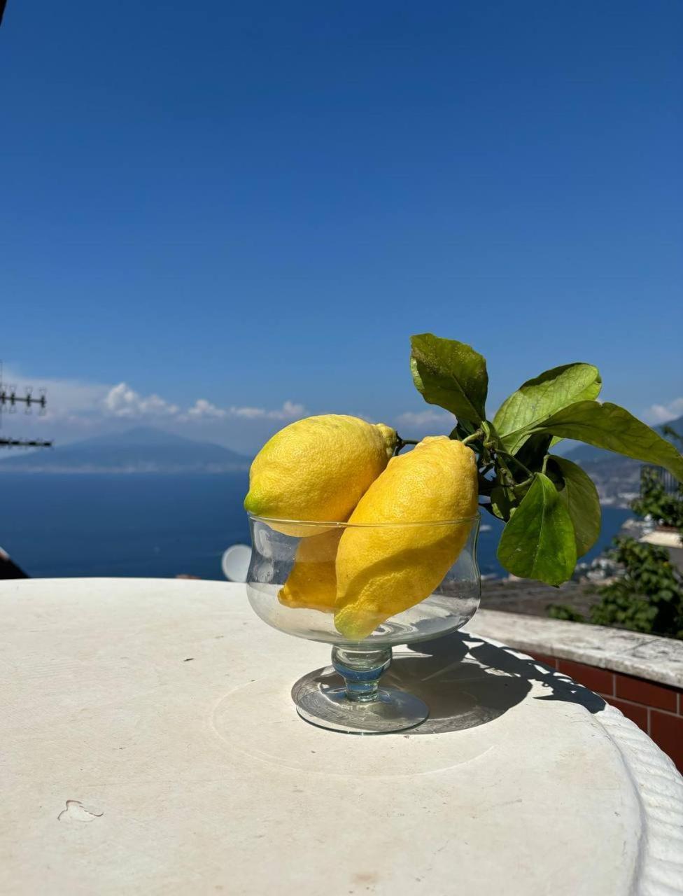 Bed & Breakfast Il Belvedere *