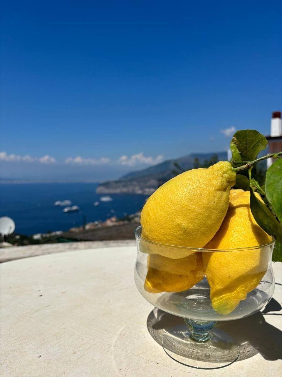 Bed & Breakfast Il Belvedere Sorrento