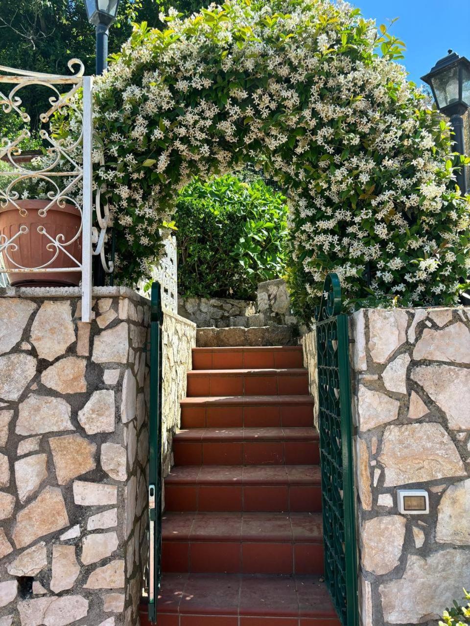 Il Belvedere Sorrento
