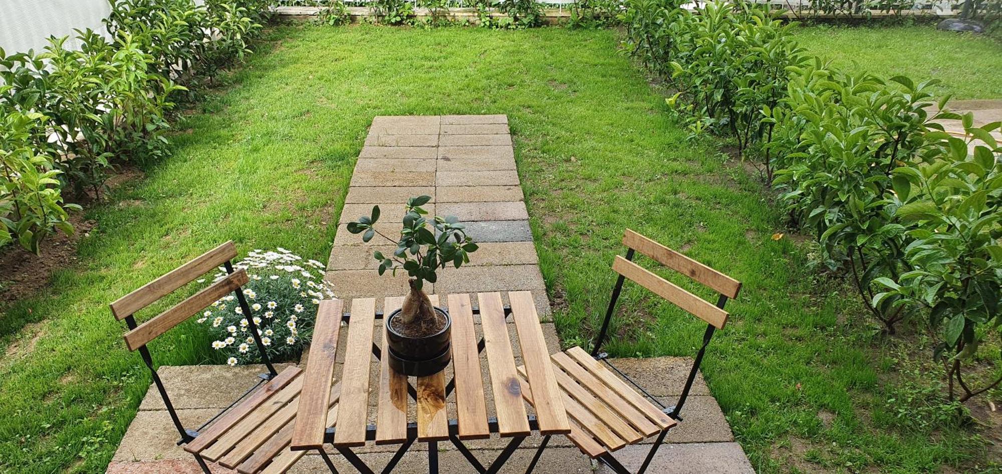 Bed & Breakfast Maison Ligea Sorrento