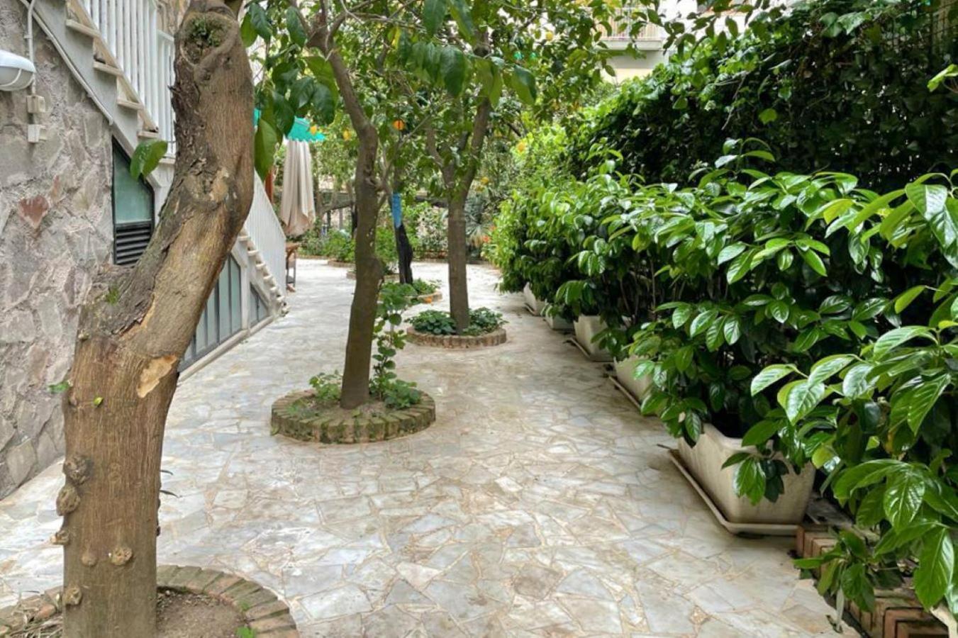 Il Sogno * Sorrento