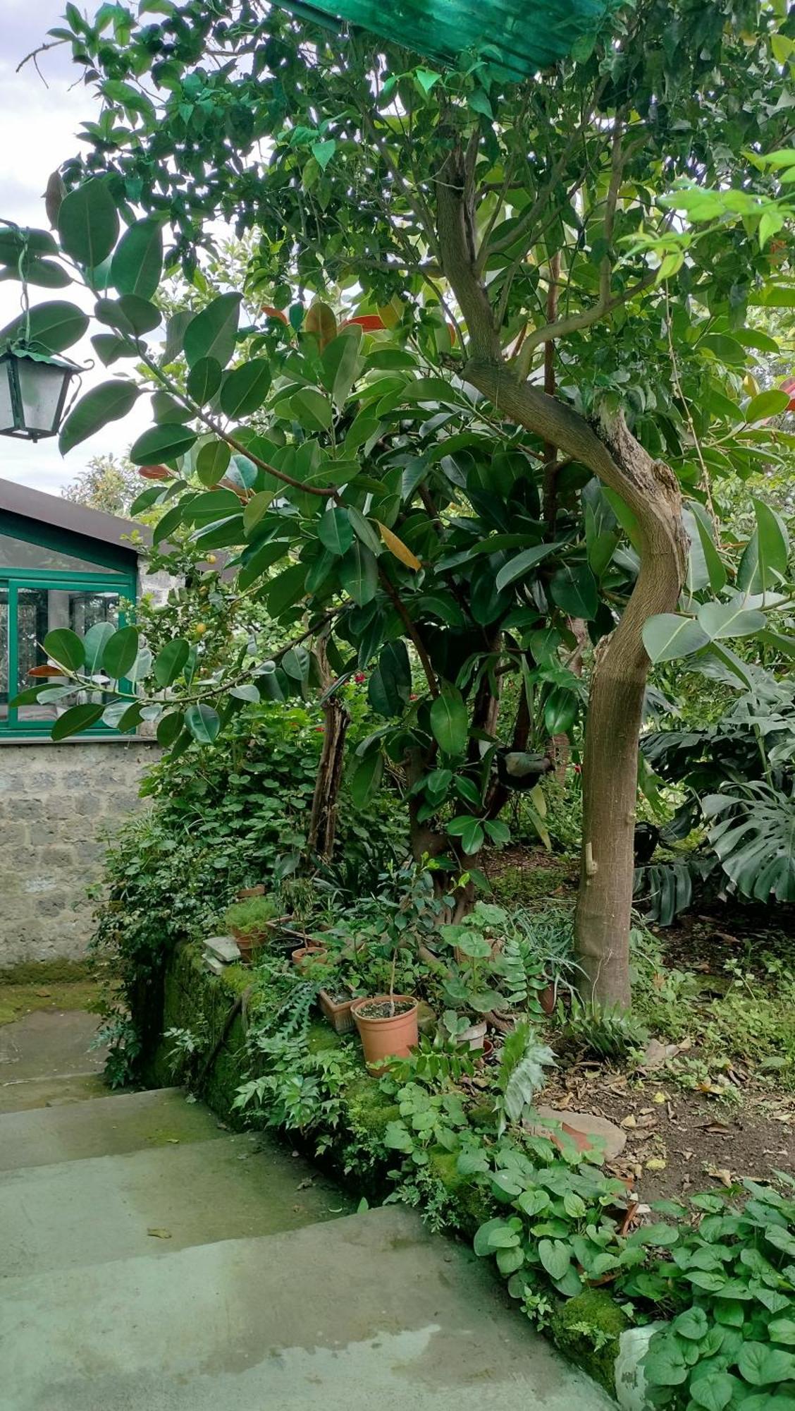 San Renato House *
