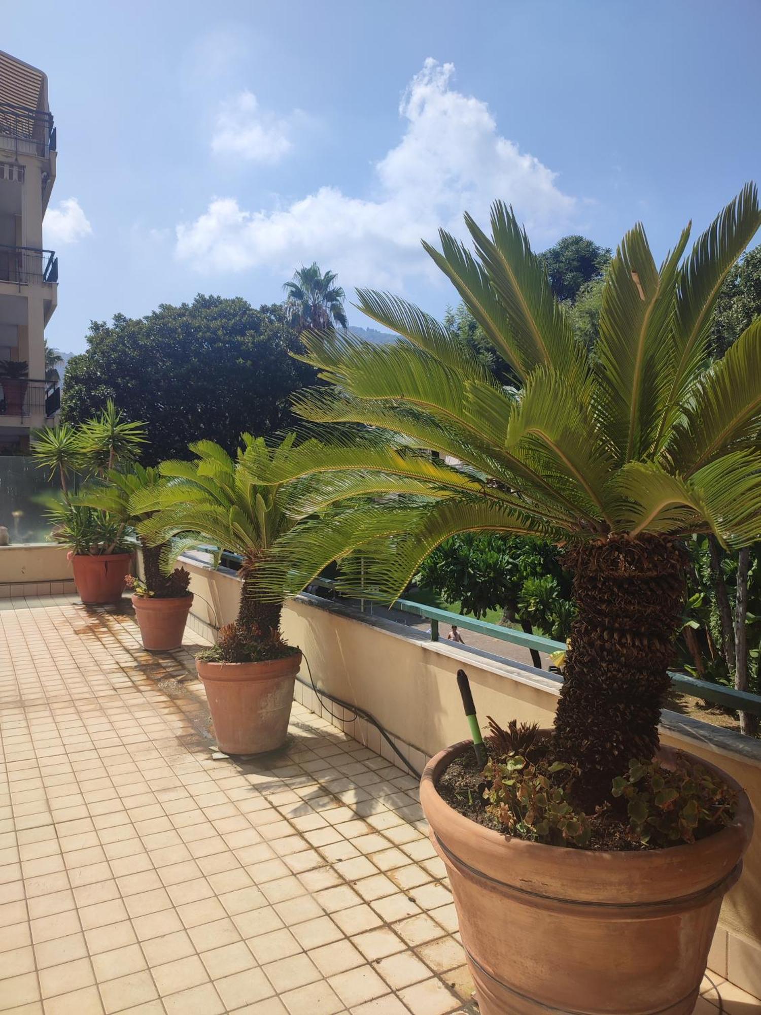 Terrazza La Delizia Apartment