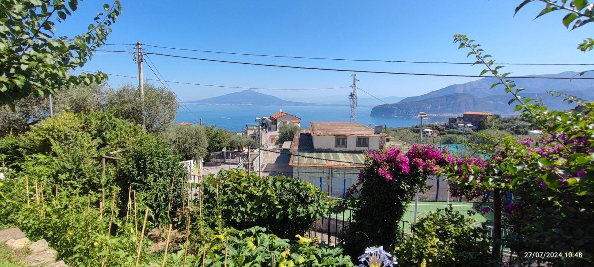 Lally's Garden Sorrento