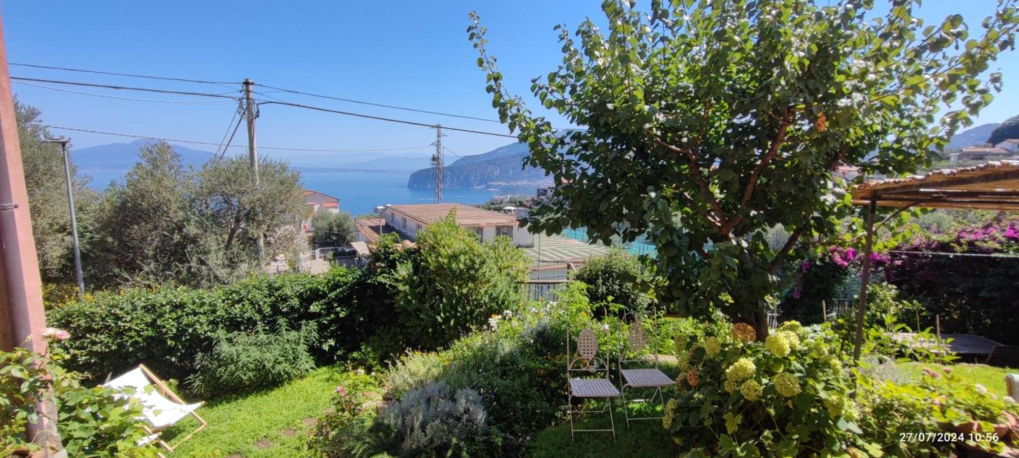 Lally's Garden * Sorrento