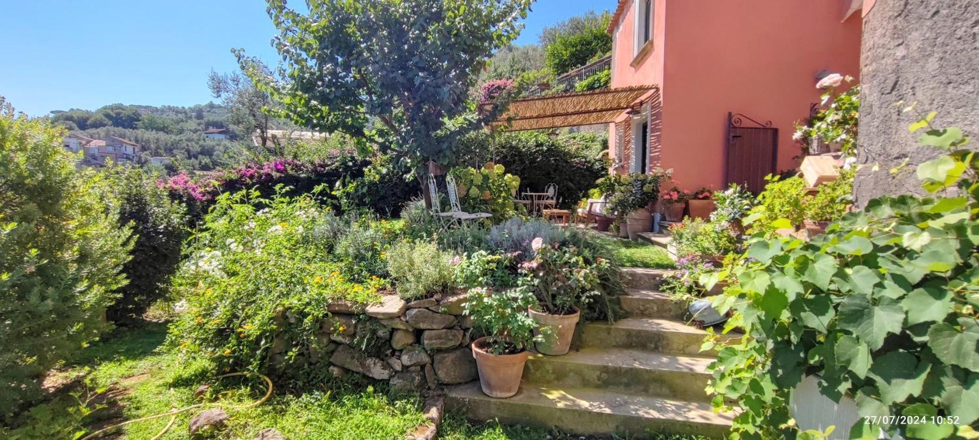 Lally's Garden *