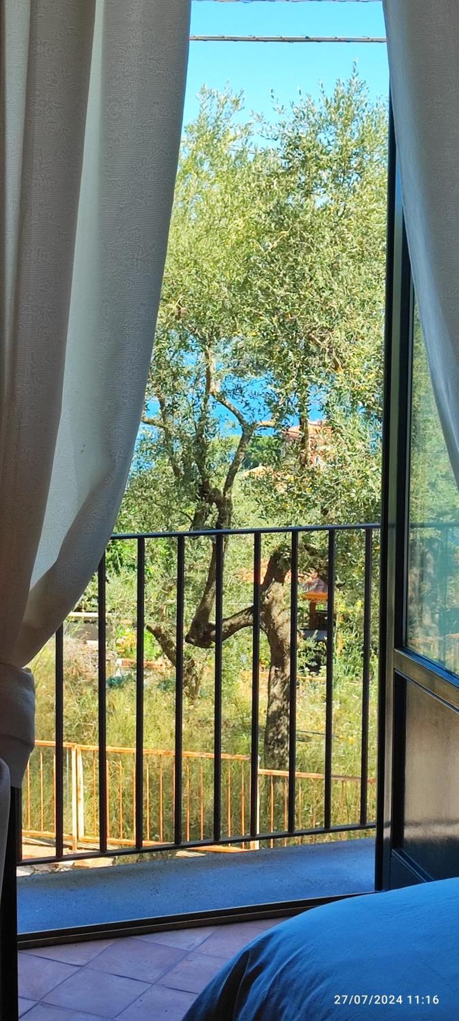 Lally's Garden Sorrento