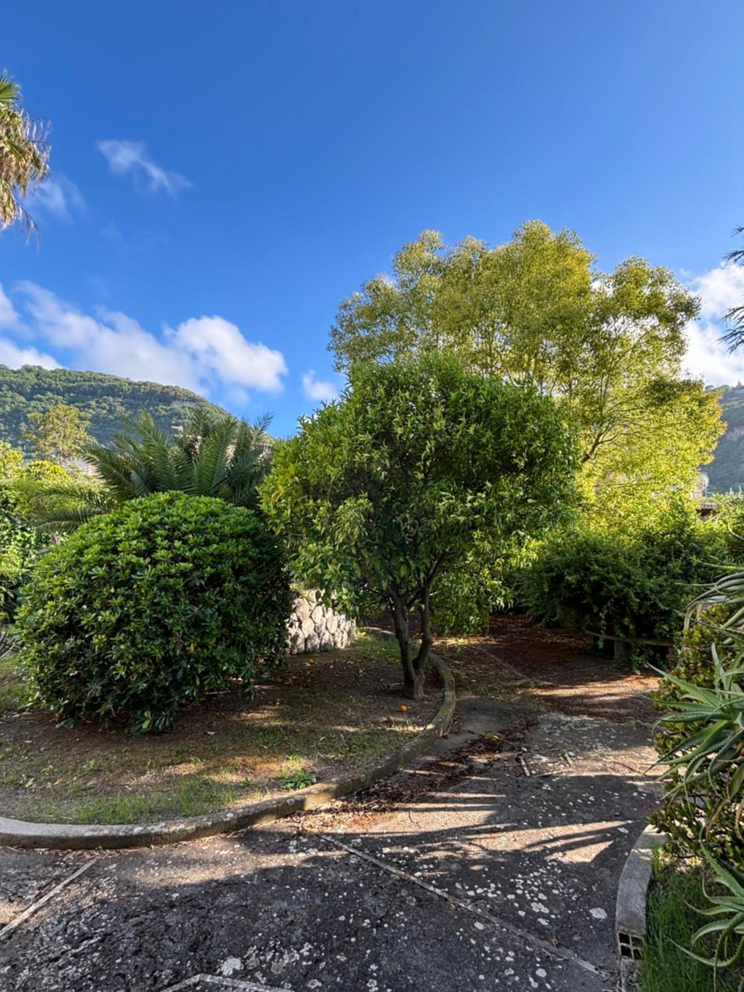 Casa Sa'lena - Apartment Sorrento