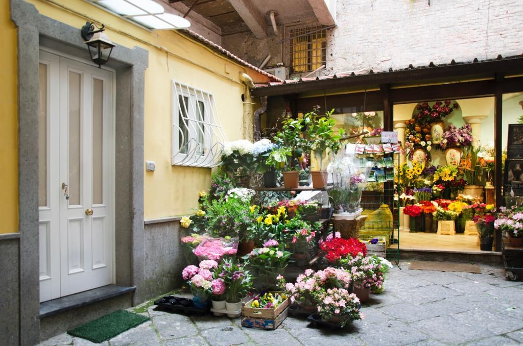 Casa Tonia San Cesareo