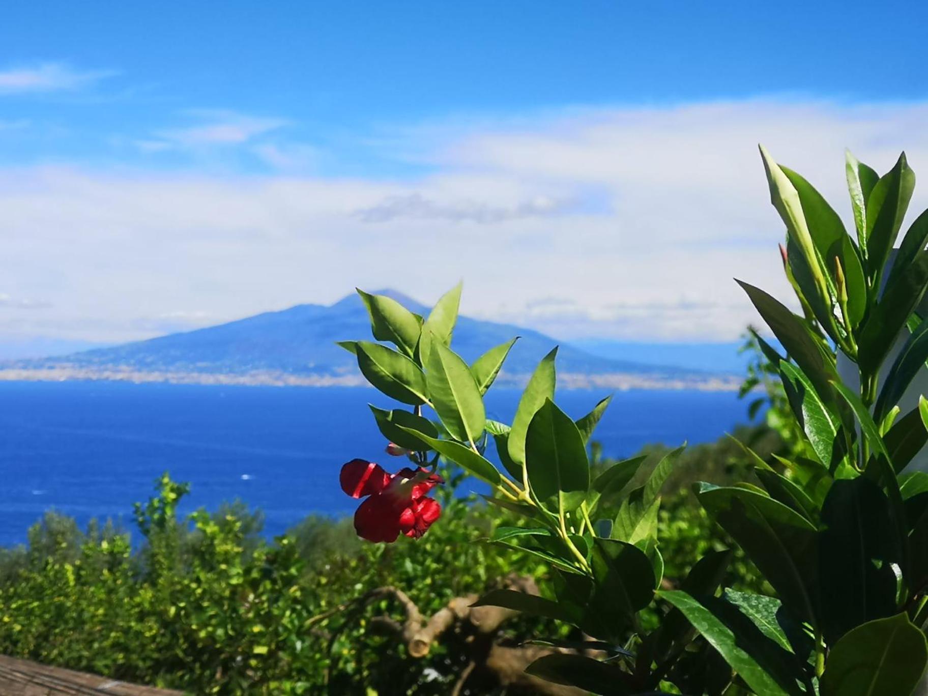 Bed & Breakfast Blu Vesuvius *