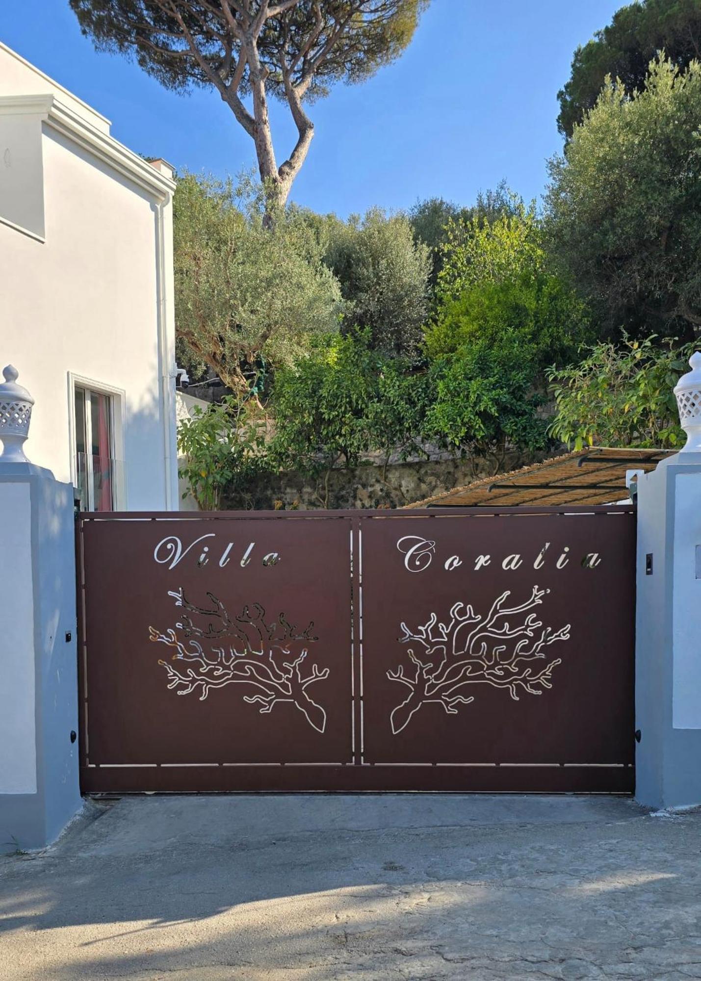 Coralia Villa *