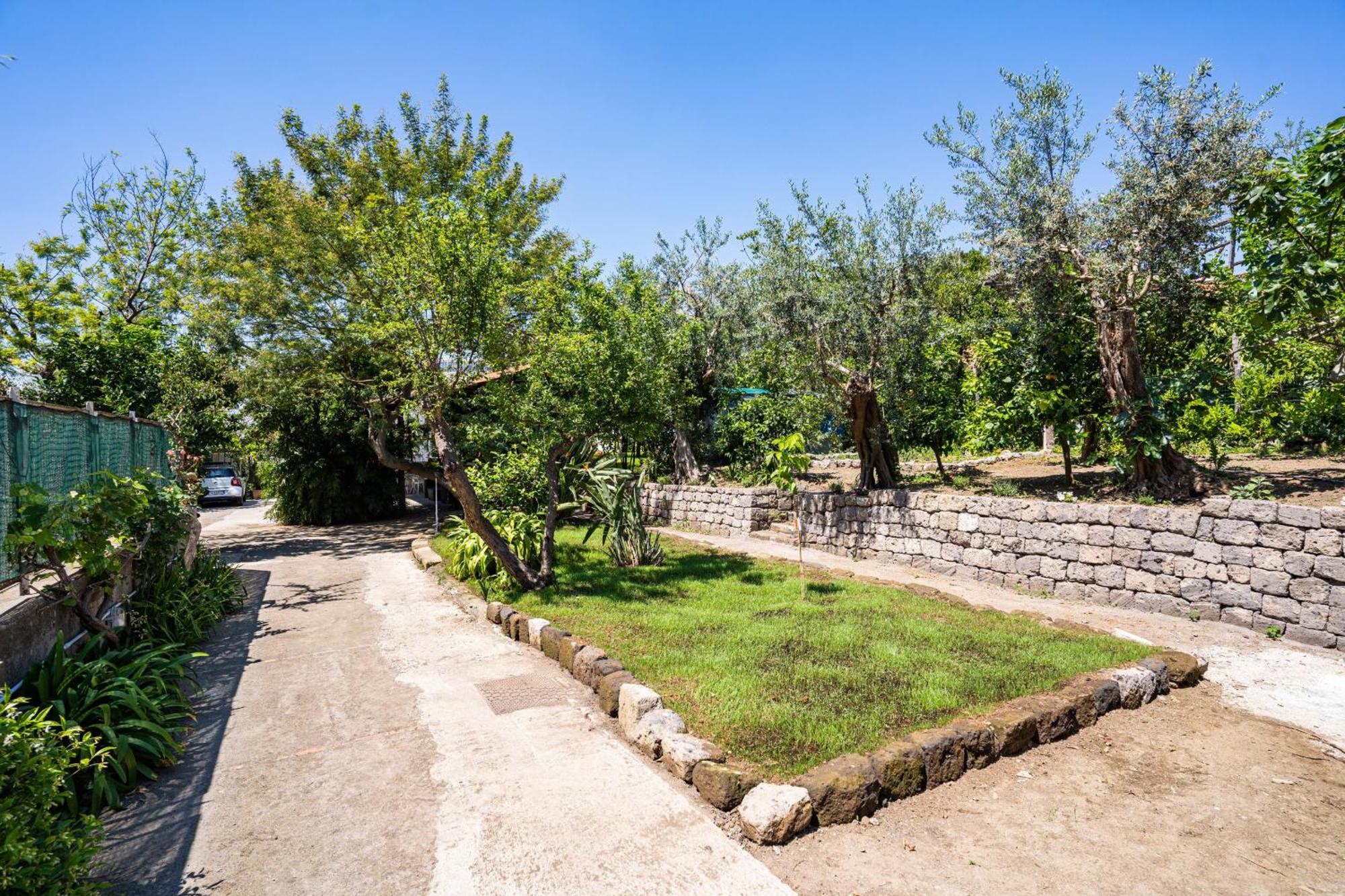 Villa - Alice Sorrento
