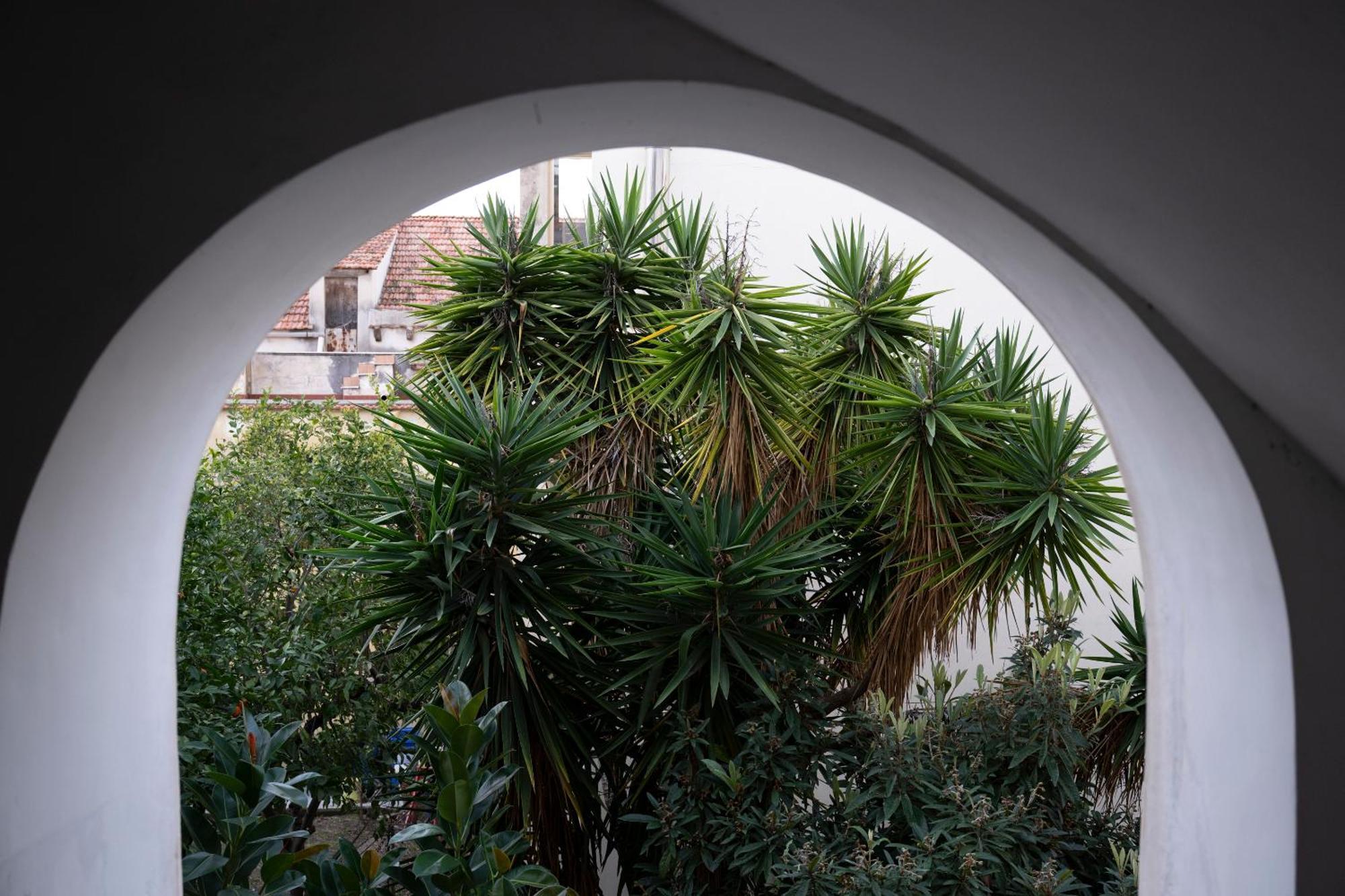 Casa Dafne Historical Center Wonderful Rooftop Sorrento