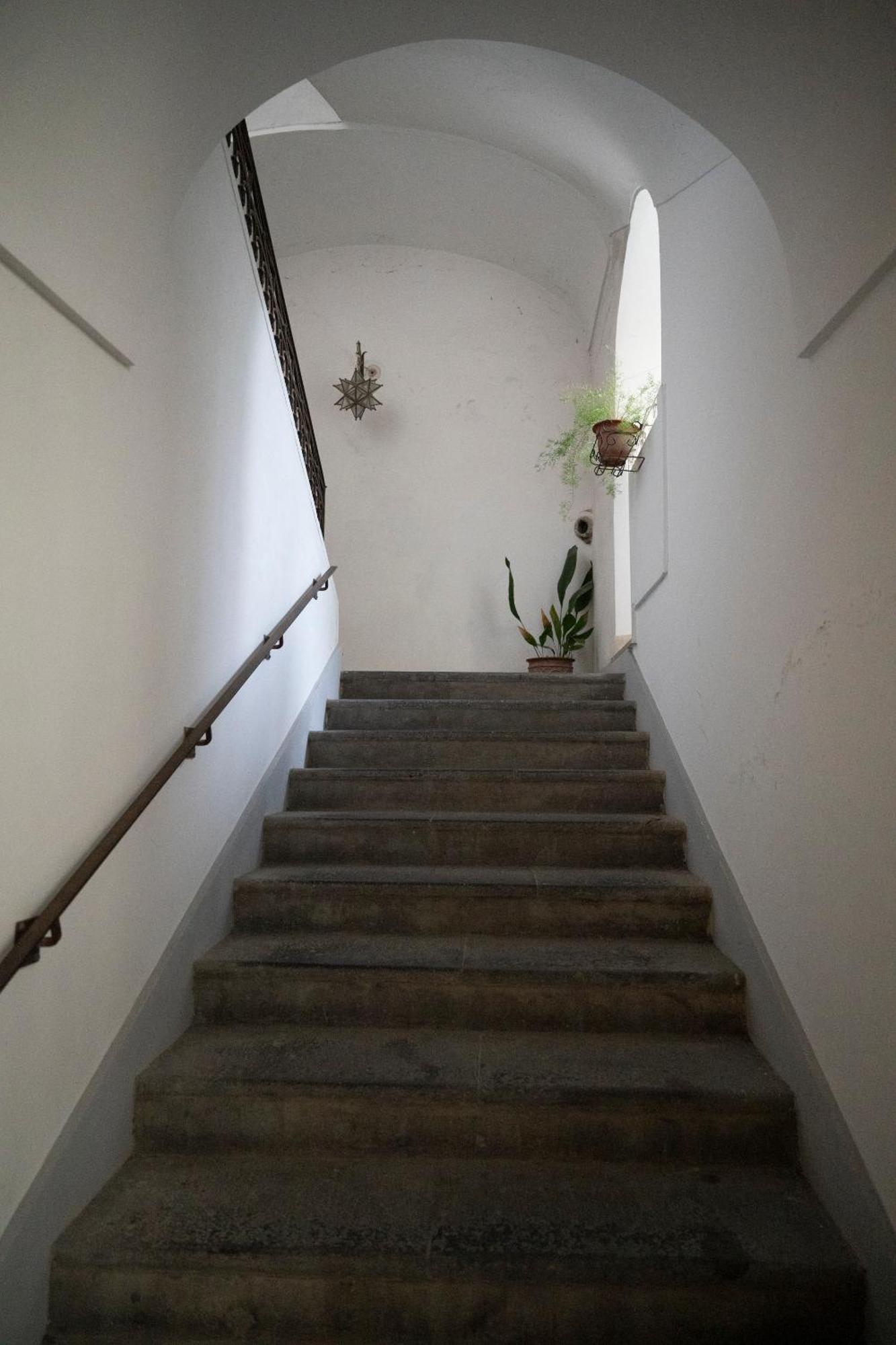 Casa Dafne Historical Center Wonderful Rooftop Holiday home *