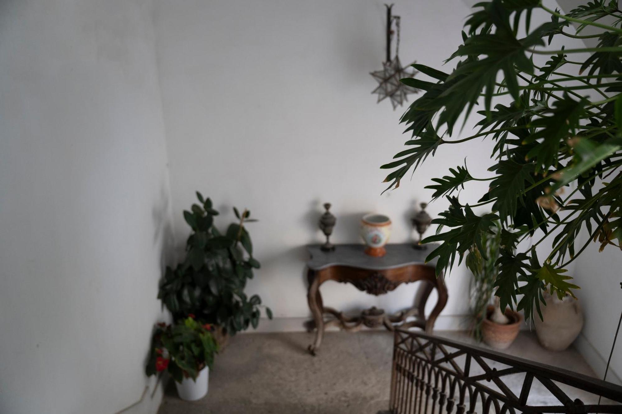 Casa Dafne Historical Center Wonderful Rooftop *