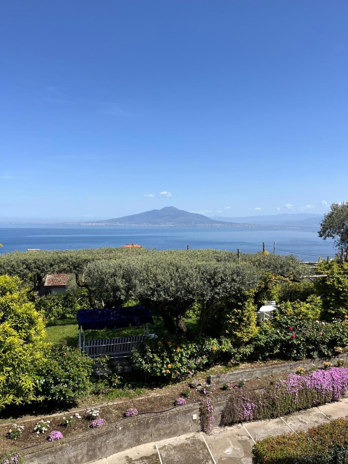 Guest house Olive Tree Garden Sorrento