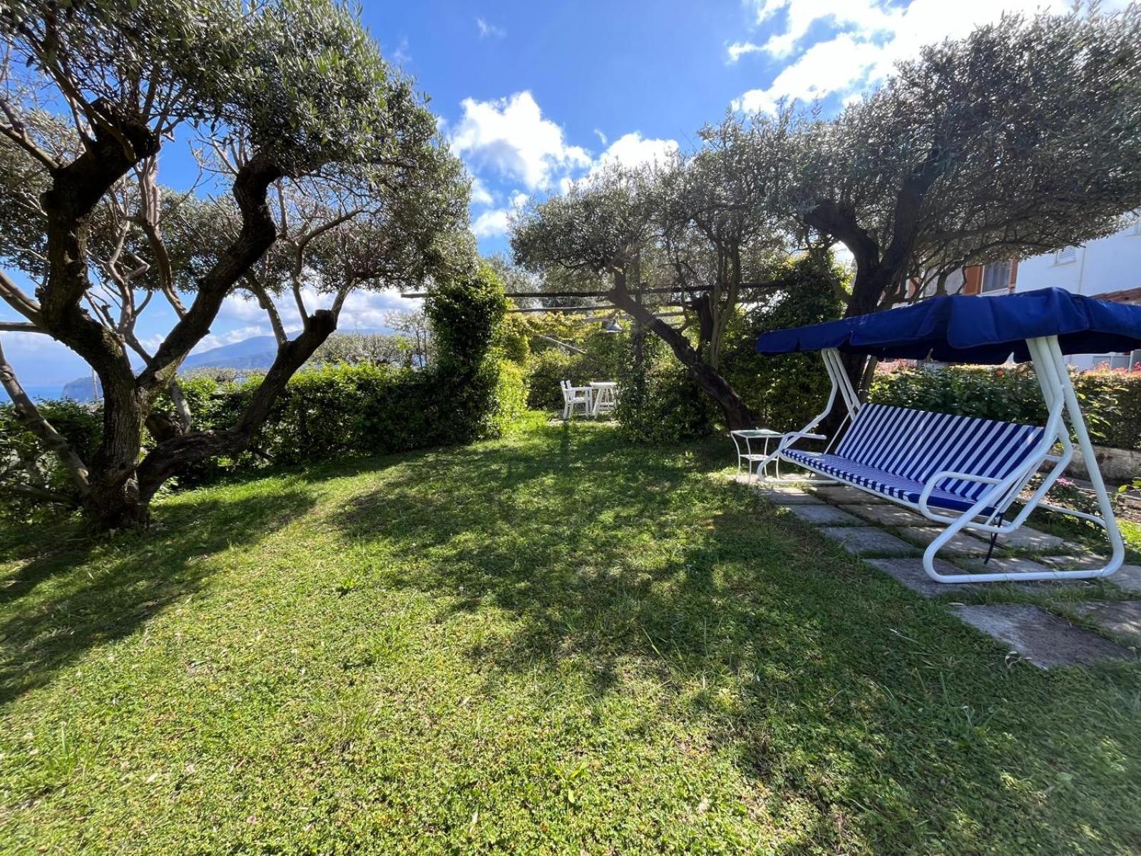Olive Tree Garden Guest house Sorrento