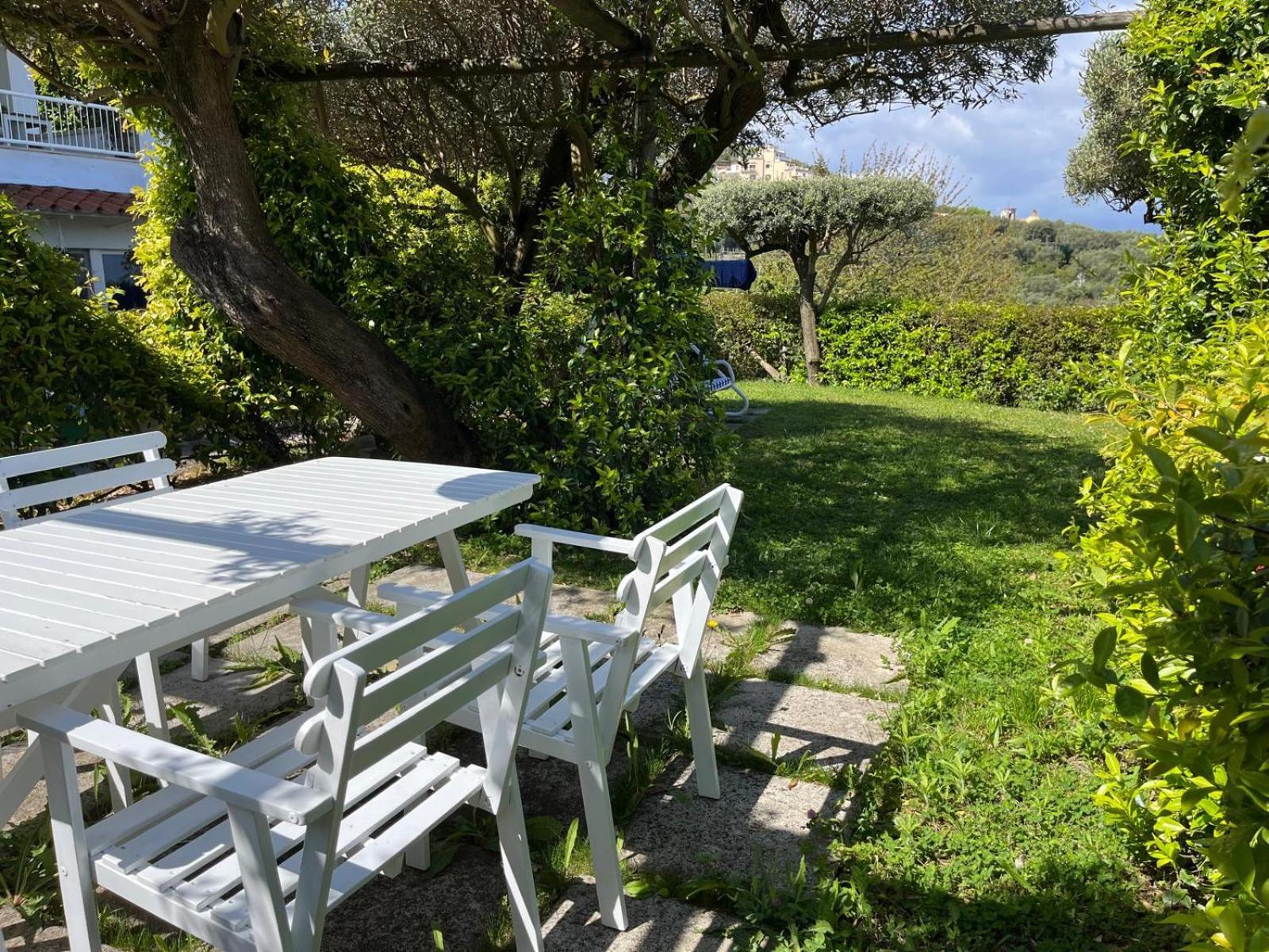 Olive Tree Garden