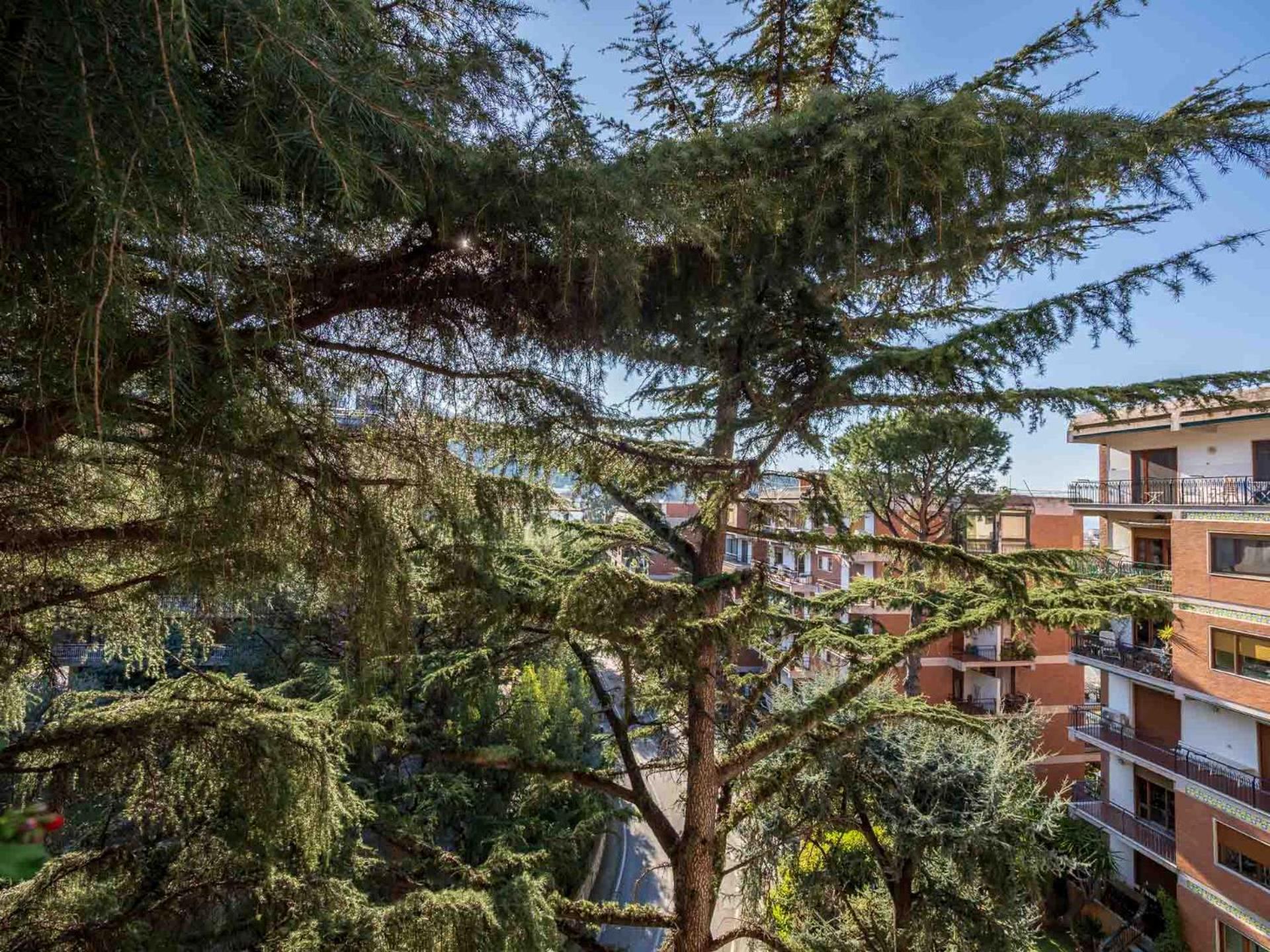 Apartamento Pine House Sorrento