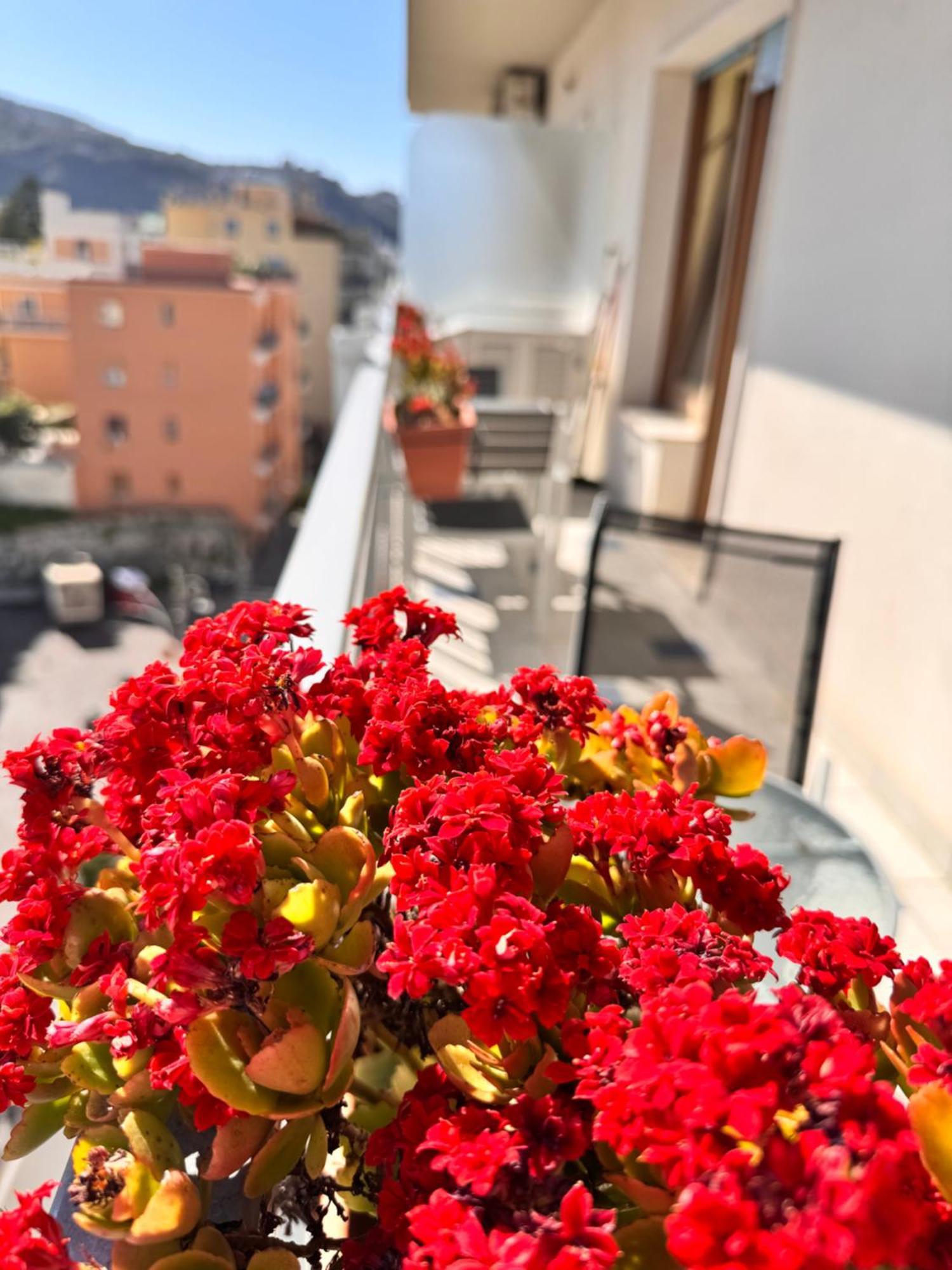Calliope * Sorrento