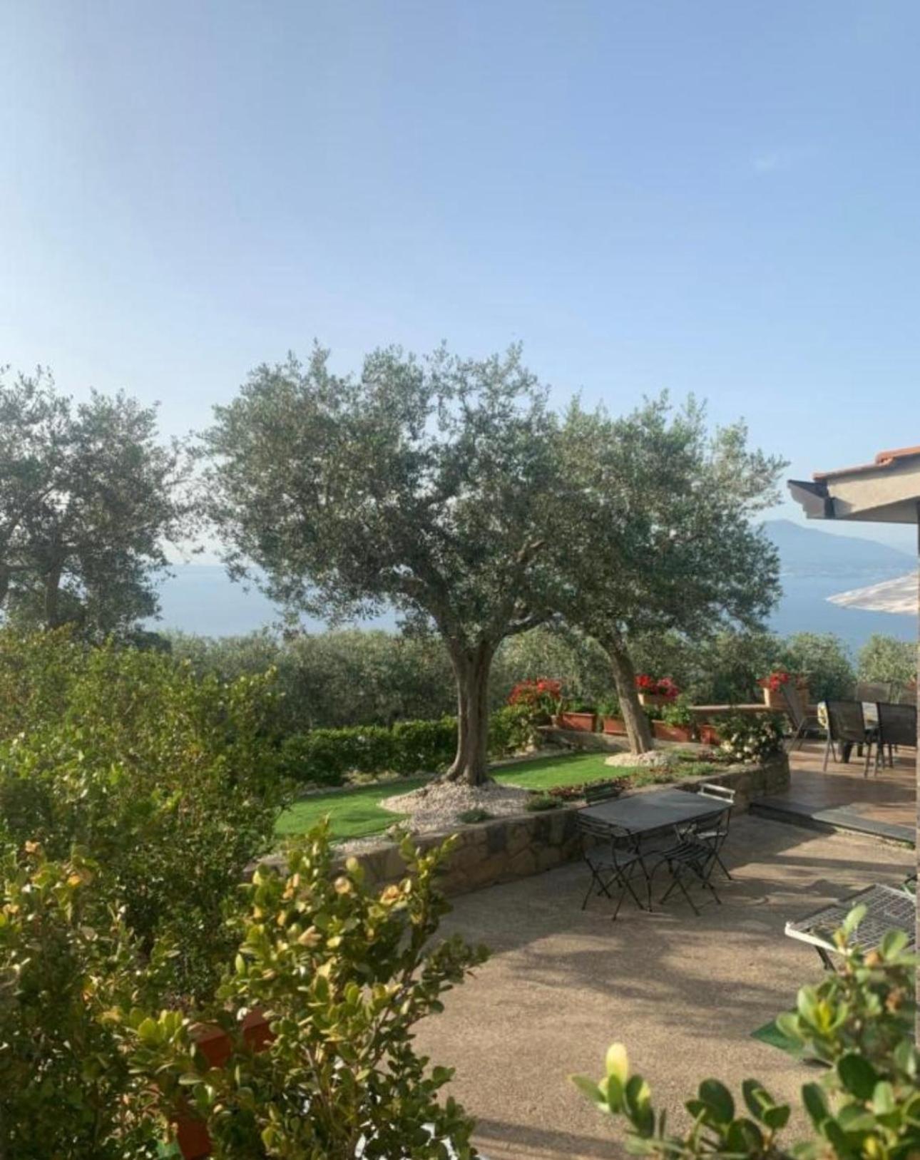 A B&b,relaxing Location With Seaview Bed & Breakfast Sorrento