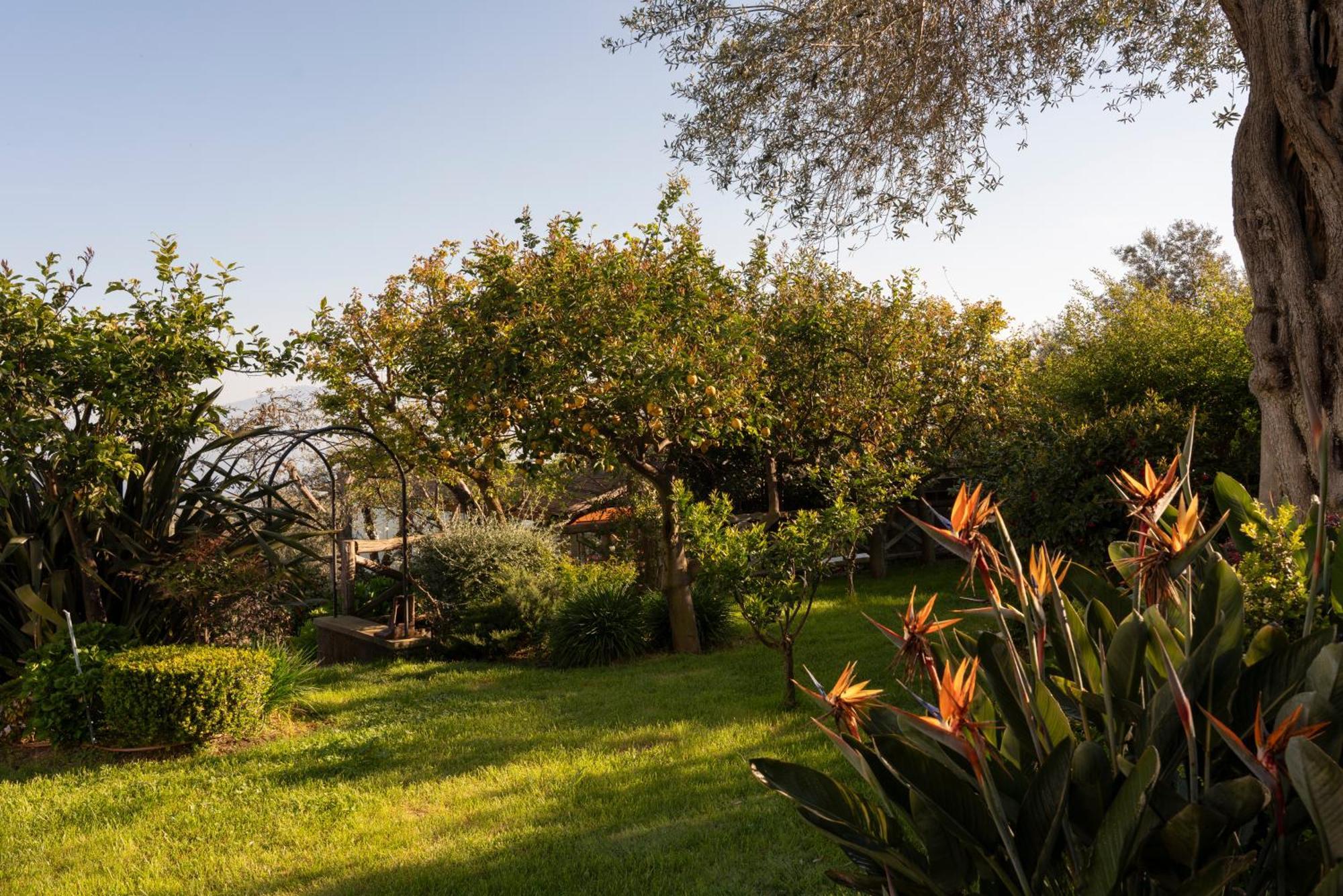 Resort Relais Palazzo Del Barone (adults Only) *