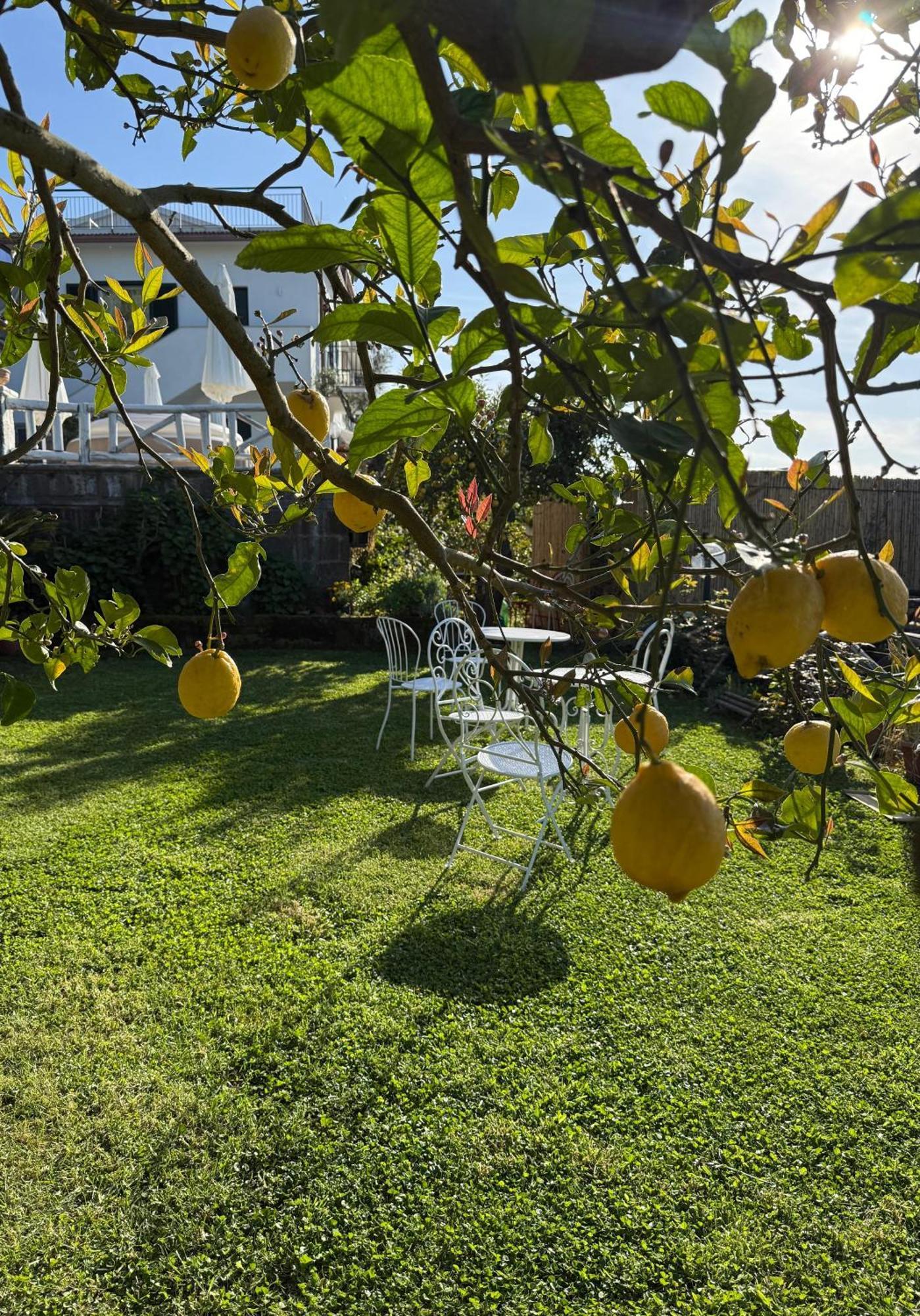Bed & Breakfast Blu Vesuvius