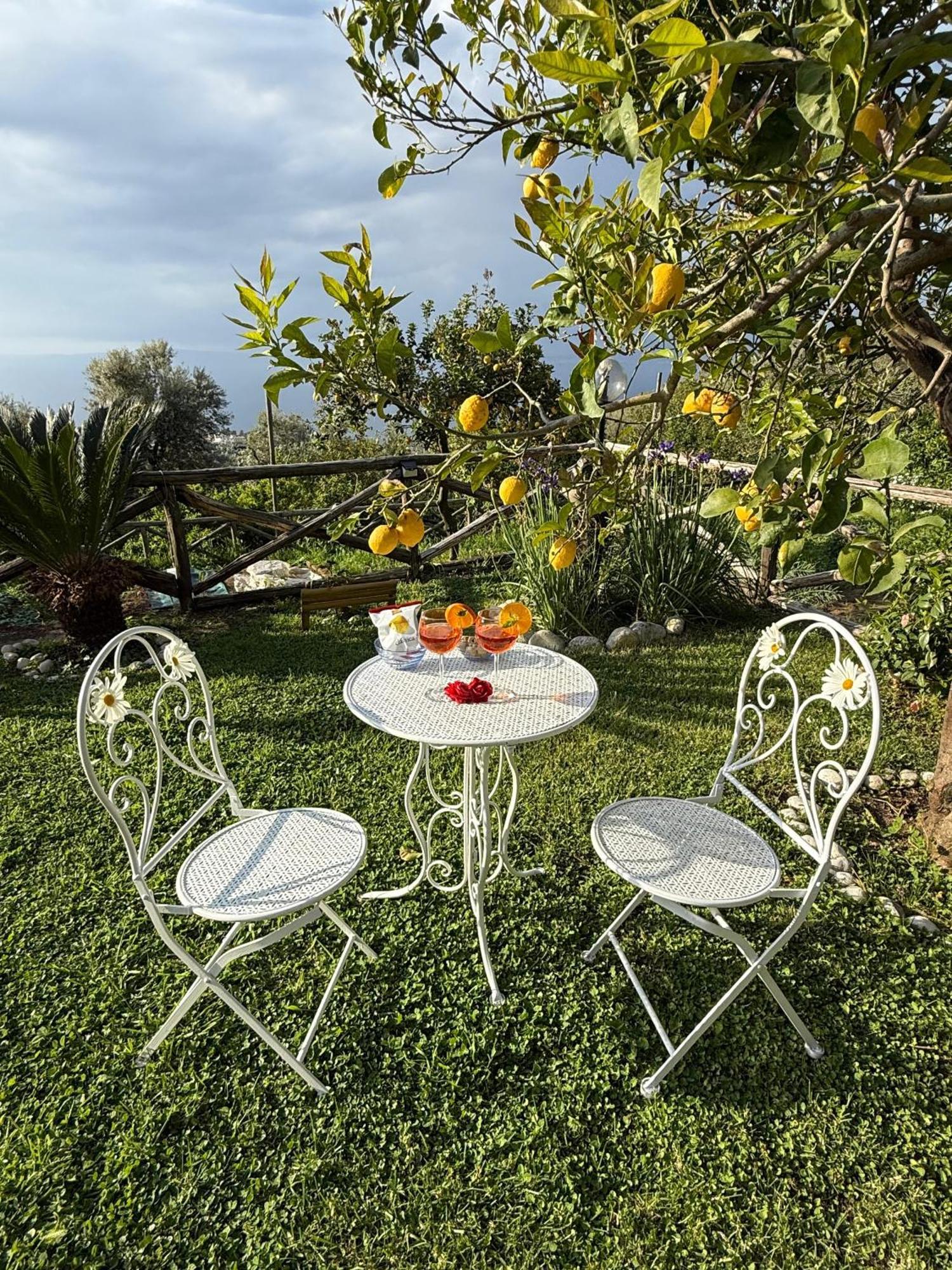 Bed & Breakfast Blu Vesuvius Sorrento