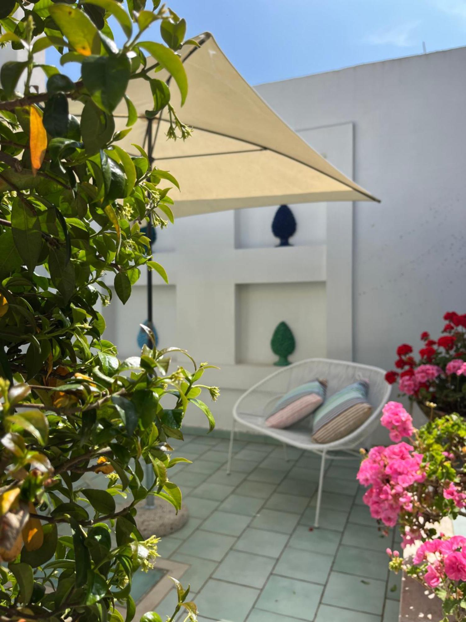 Olive Tree Garden 2*