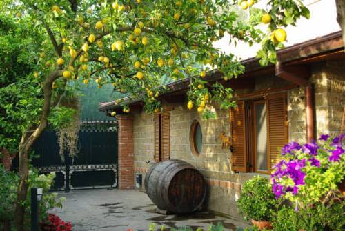 Casale Nunziatina Apartment