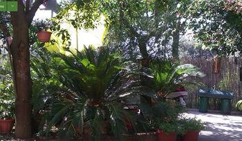 Apartment Casale Nunziatina