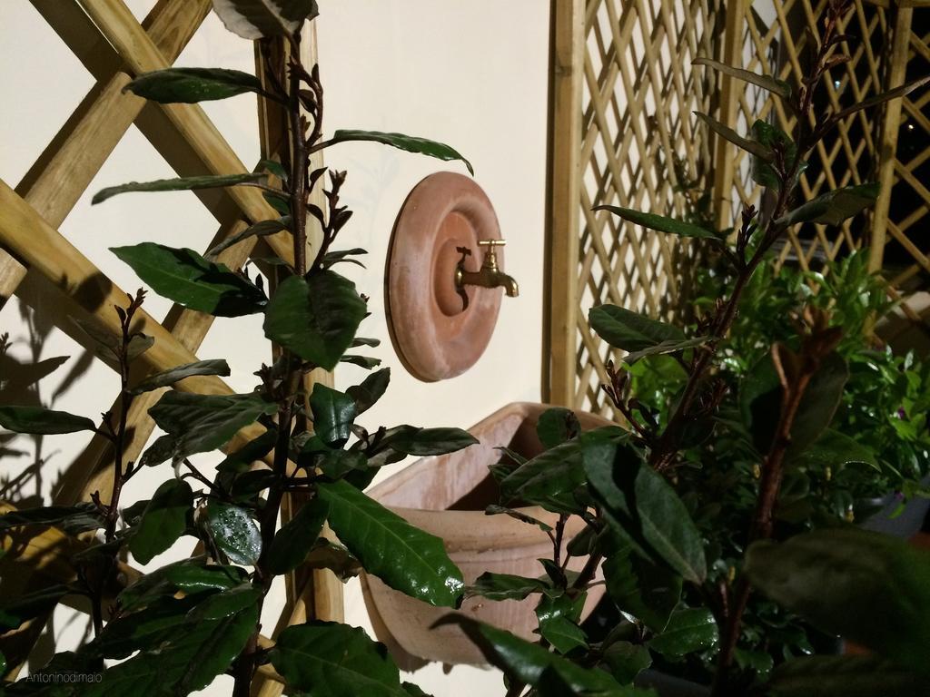 Il Giardino Segreto 3* Sorrento
