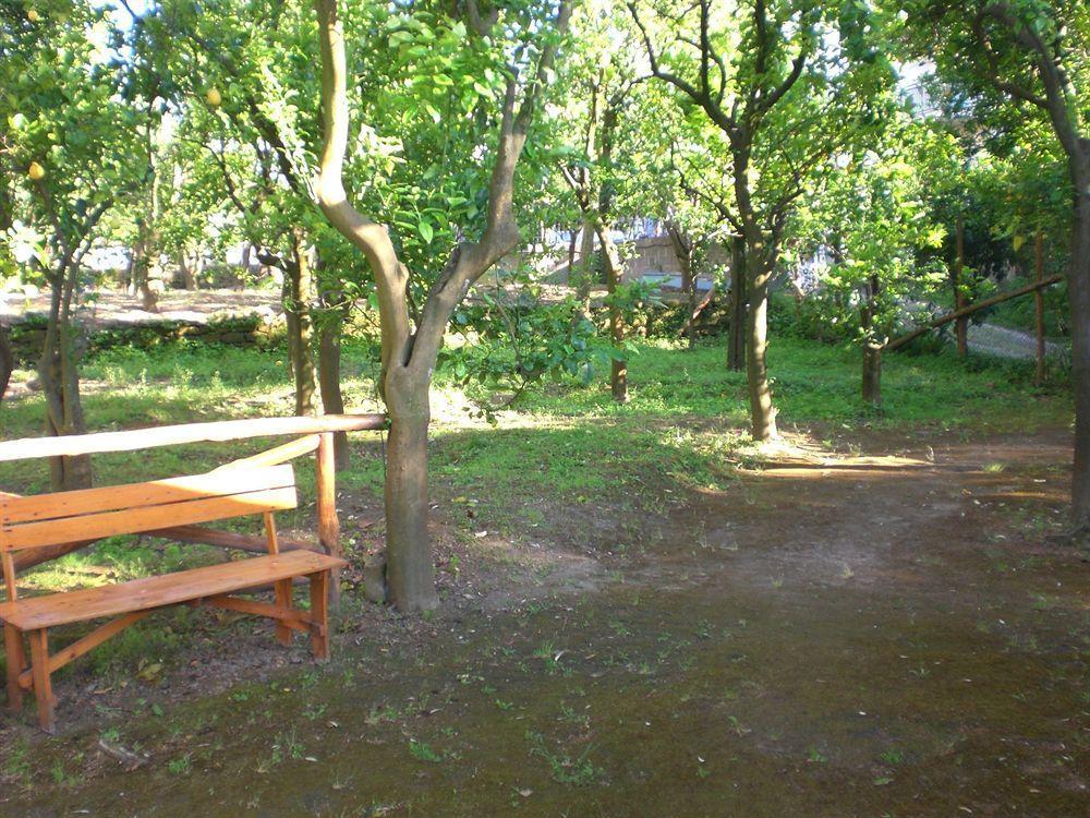 Paradiso Holiday home *
