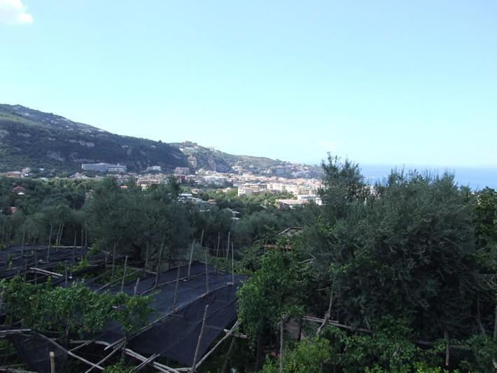 Apartment Casale Nunziatina