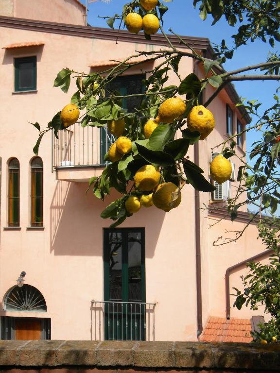 Rosmary Appartamento *