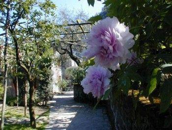 La Neffola Sorrento