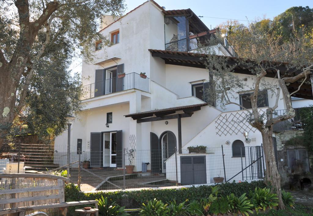 Bed & Breakfast Casa Gaia Sorrento Bio Vacanze