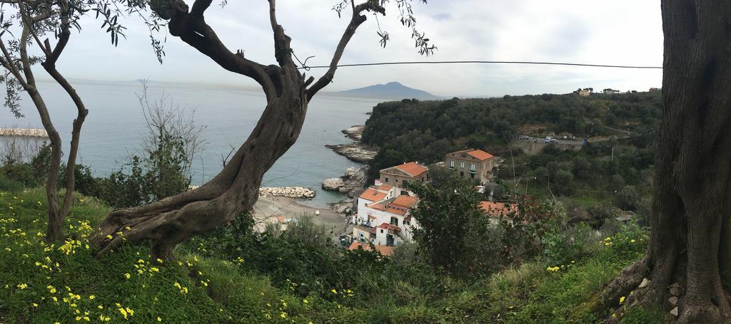 Rosmary Appartamento *
