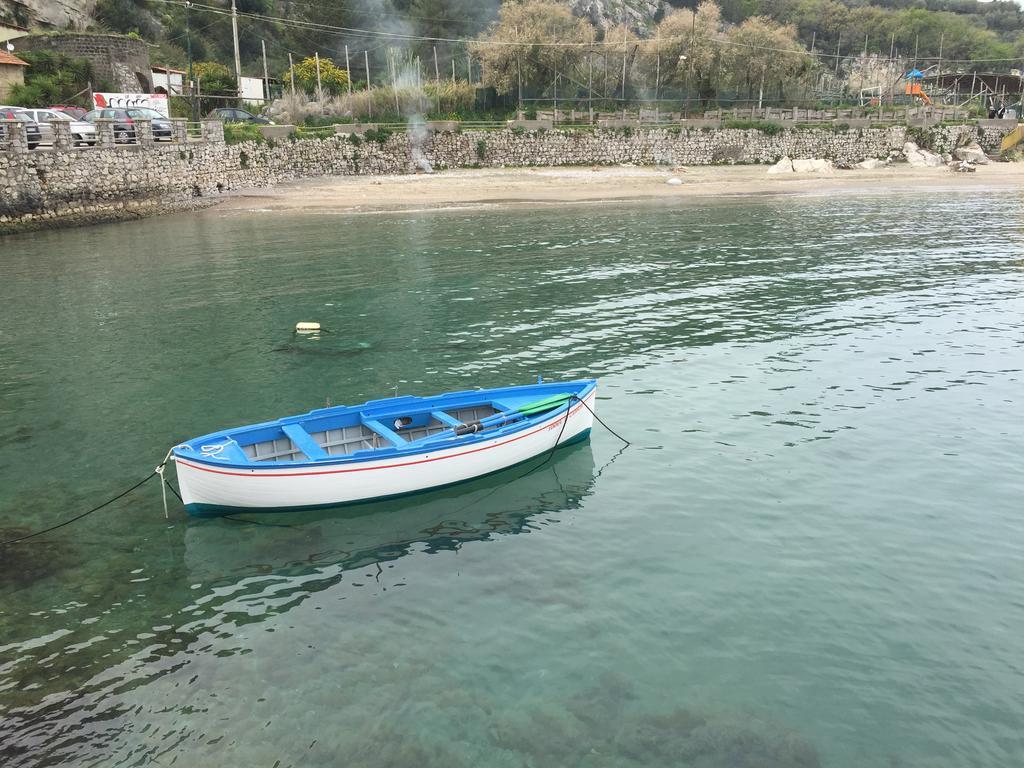 Rosmary Sorrento