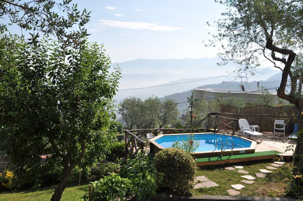 Casa Gaia Sorrento Bio Vacanze Bed & Breakfast Sorrento