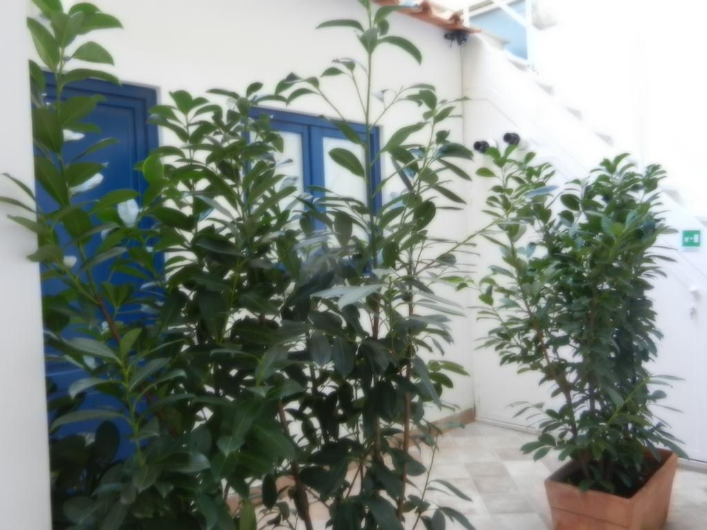 My Sorrento