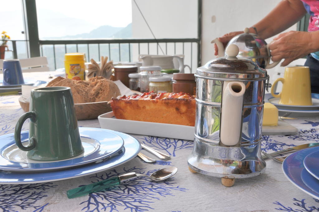 Bed & Breakfast Casa Gaia Sorrento Bio Vacanze Sorrento