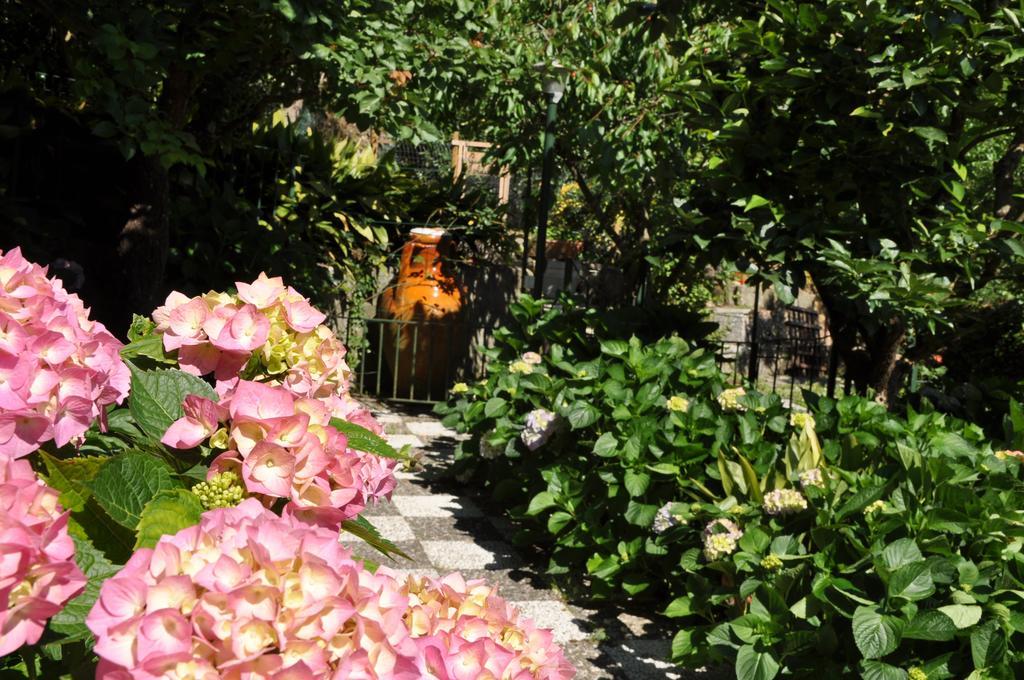 Casa Gaia Sorrento Bio Vacanze Sorrento