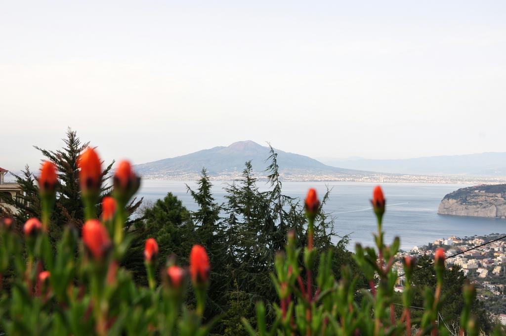 Casa Gaia Sorrento Bio Vacanze Sorrento