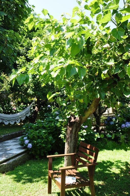 Casa Gaia Sorrento Bio Vacanze Sorrento