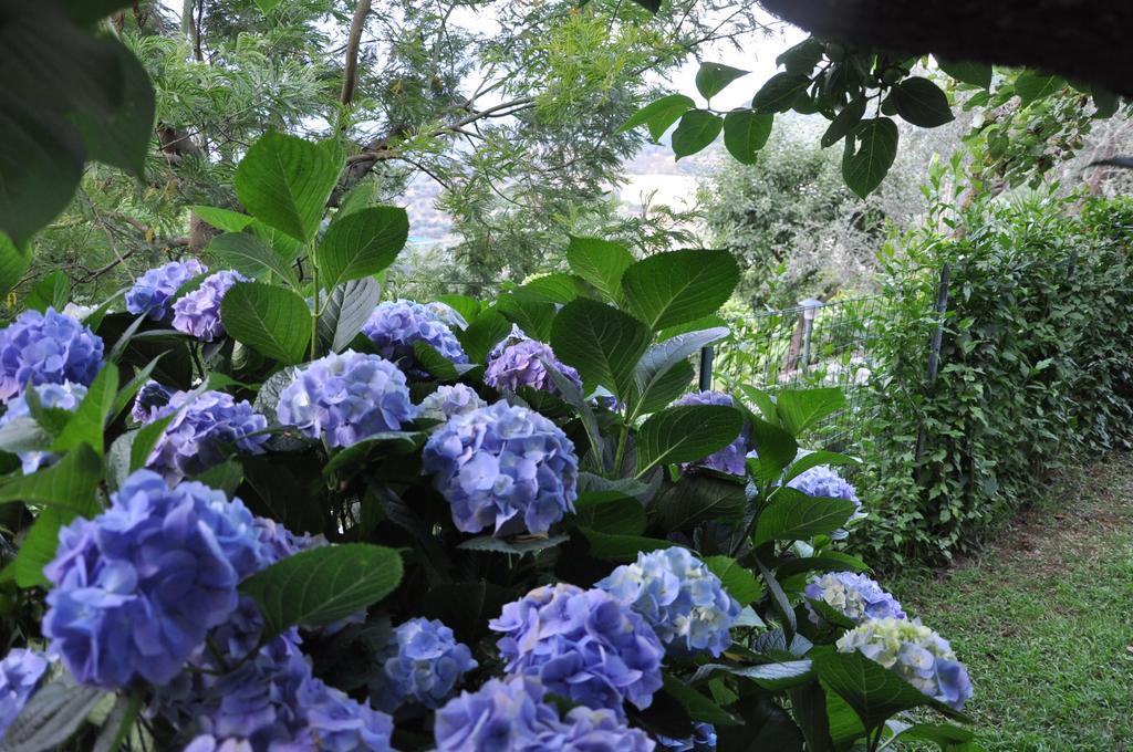 Bed & Breakfast Casa Gaia Sorrento Bio Vacanze *