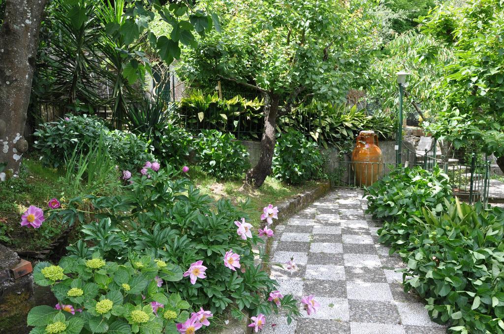 Bed & Breakfast Casa Gaia Sorrento Bio Vacanze *